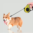 Guia Retrátil Pet 3 Metros [Amarelo]